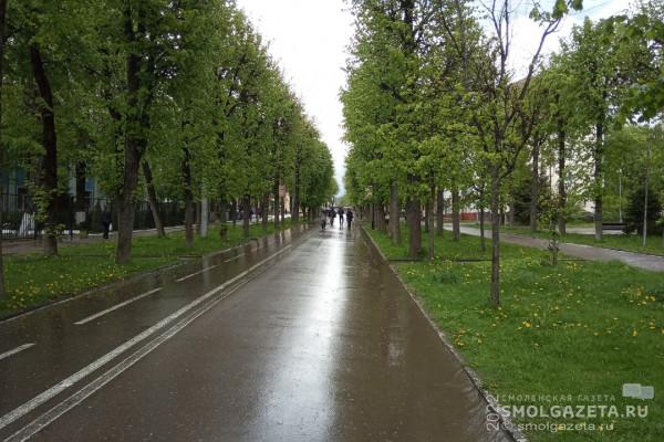 Какая погода ждет Смоленскую область в День пограничника