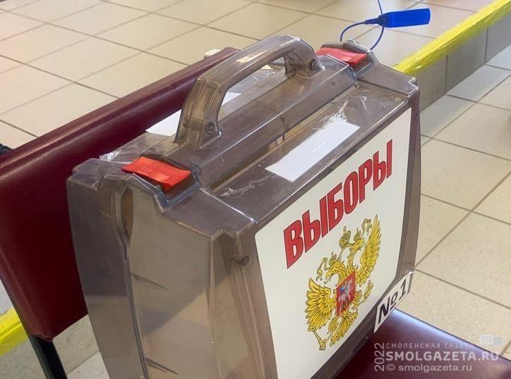 Завершился первый день голосования на довыборах в Смоленскую областную Думу по округу №20