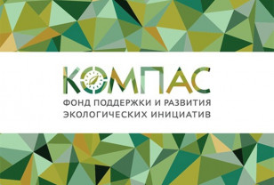 Вопросами экологии в России займется новый фонд «Компас»