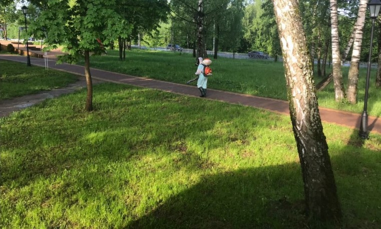 В Смоленске парк «Соловьиная роща» обработали от клещей