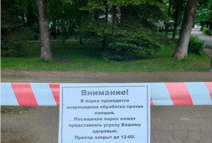 В Смоленске городские парки обрабатывают против клещей