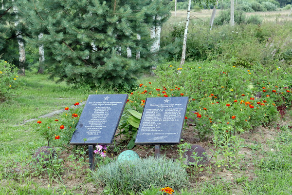 Губернатор потребовал незамедлительно привести в порядок братское воинское захоронение в деревне Соловьево