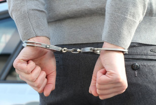 Смоленские полицейские задержали подозреваемого в краже борсетки