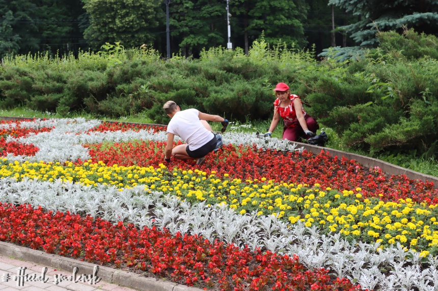 В Смоленске специалисты «Зеленстроя» ведут уход за городскими цветниками
