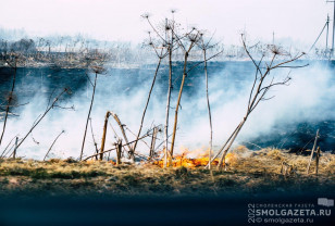 На Смоленщине продлили «желтый» уровень погодной опасности из-за угрозы пожаров