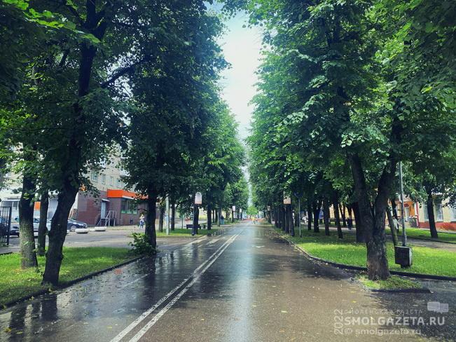 Дожди и грозы не покинут Смоленскую область 14 июля