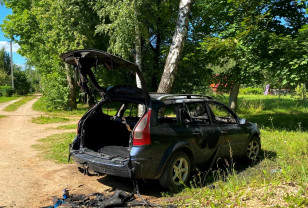 В деревне Лучеса Починковского района горел автомобиль Renault Megane