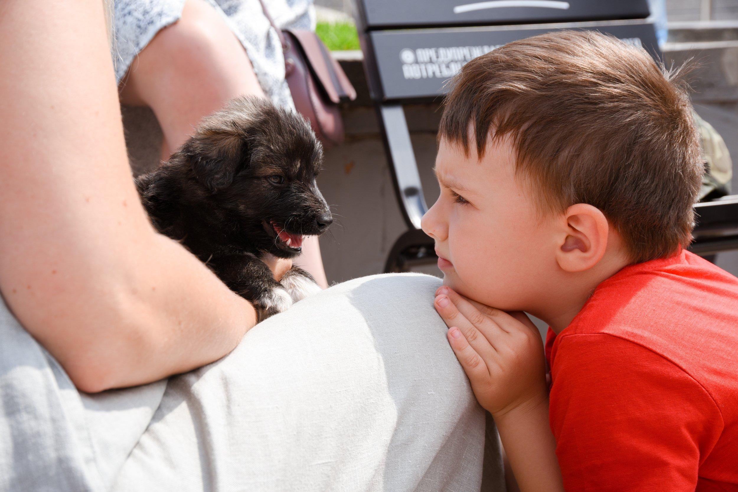 15 собак обрели любящих хозяев благодаря выставке «Возьми друга домой» в Смоленске
