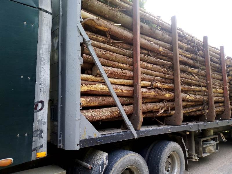 В Смоленской области выявлено более 40 фактов нелегальных перевозок лесопродукции
