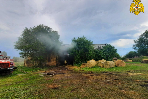 В Холм-Жирковском районе сгорела 51 тонна свежезаготовленного сена