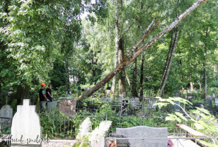 На смоленских кладбищах сносят аварийные деревья