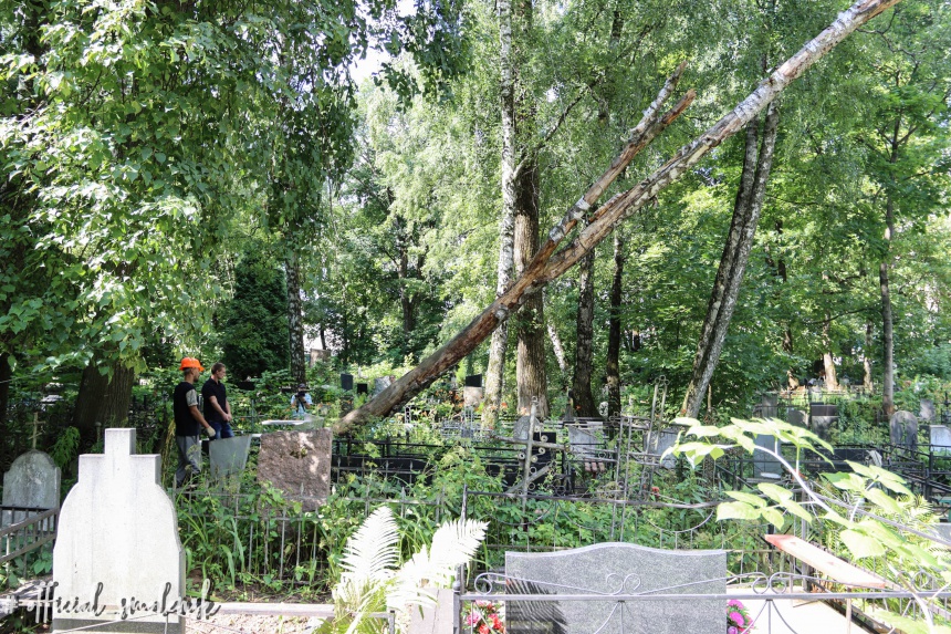 На смоленских кладбищах сносят аварийные деревья