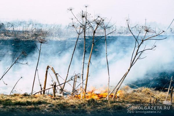 Смоленские спасатели готовы оказать помощь в тушении лесных пожаров в Рязанской области