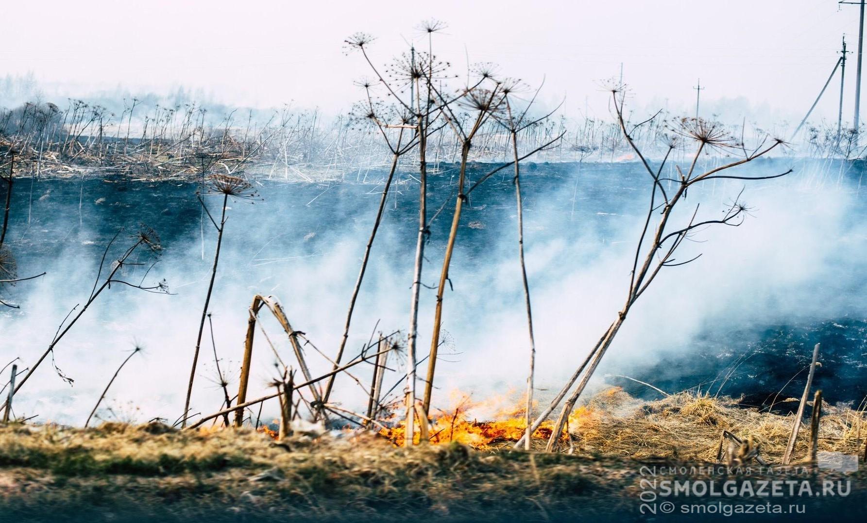 Смоленские спасатели готовы оказать помощь в тушении лесных пожаров в Рязанской области