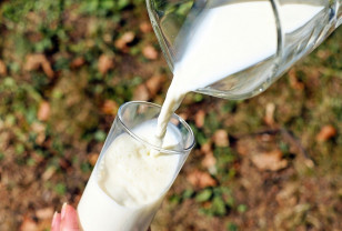 58,3 тысячи тонн молока реализовали смоленские сельхозпроизводители с начала года