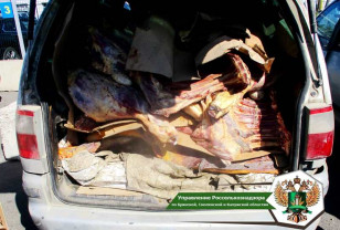 В Смоленской области пресекли нелегальный ввоз 1 800 килограммов говядины в антисанитарном состоянии