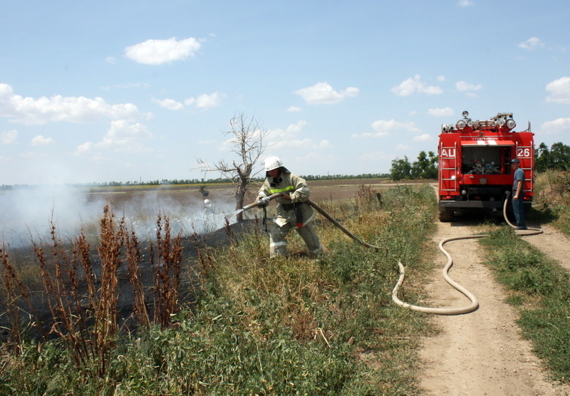 В Сафоновском районе ликвидировали природный пожар