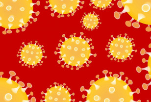 В Смоленской области выявили 121 новый случай заболевания коронавирусом