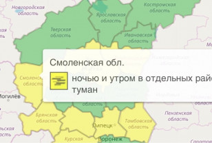В Смоленской области объявили желтый уровень опасности из-за тумана
