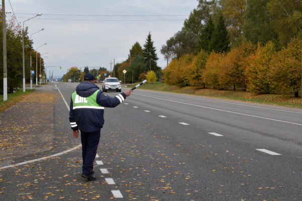 2 октября в Смоленске пройдут «сплошные проверки» водителей