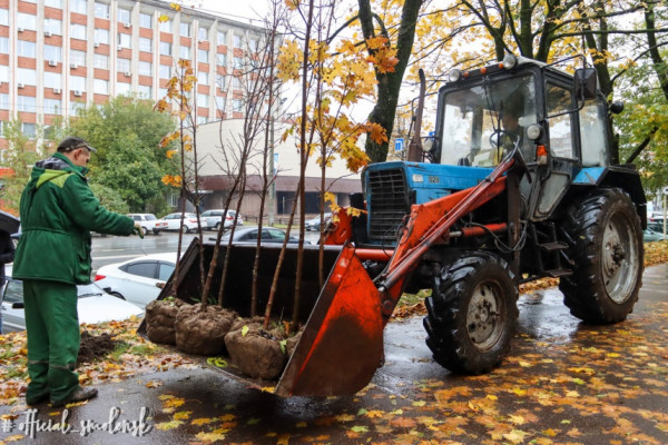 В Смоленске активно проводится осеннее озеленение