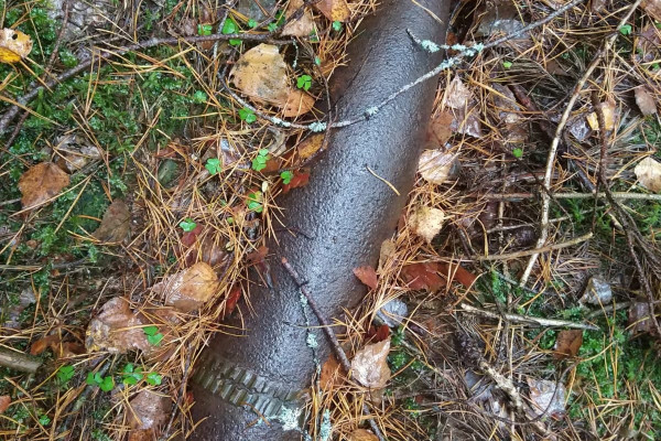 На территории Смоленской области был обнаружен очередной снаряд времён ВОВ