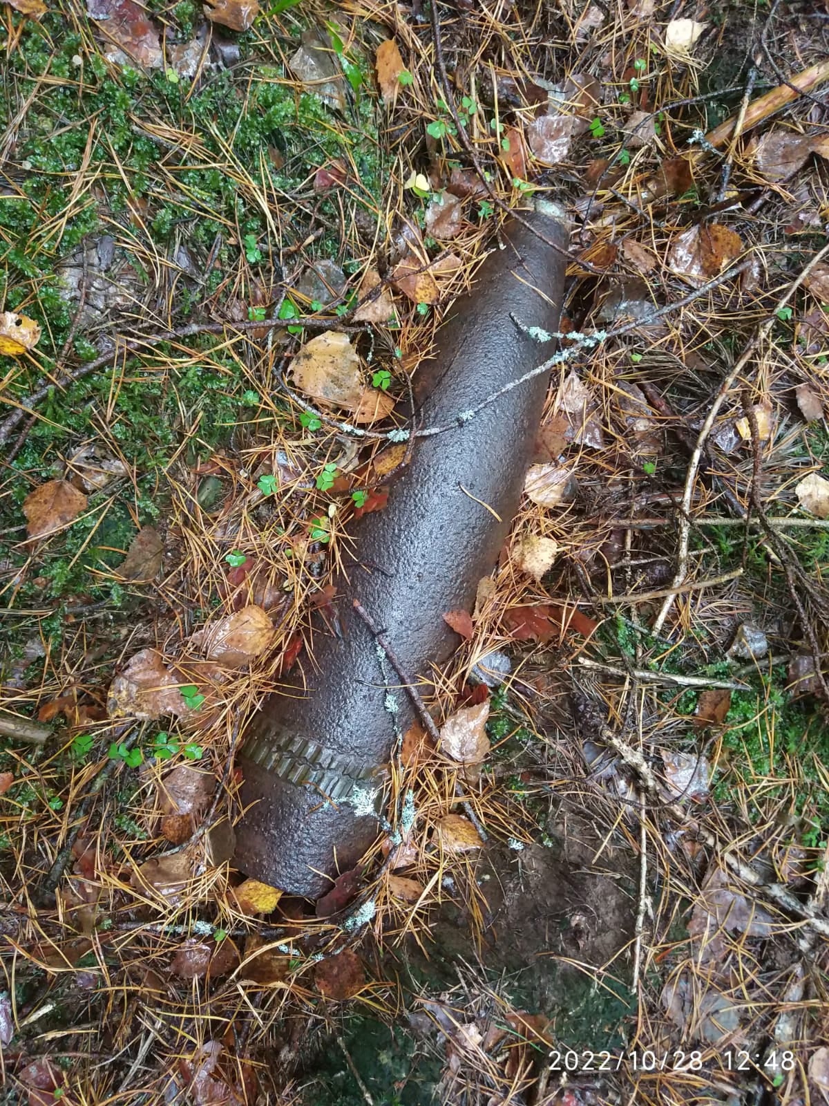 На территории Смоленской области был обнаружен очередной снаряд времён ВОВ