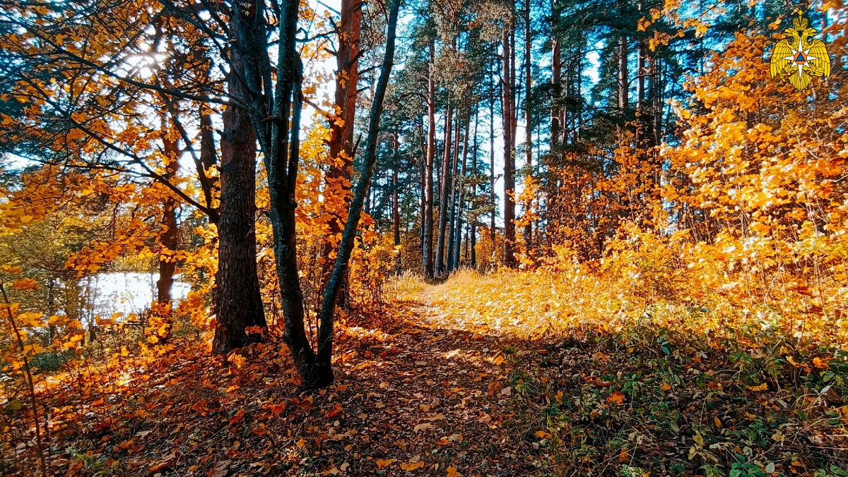 Последний день октября принесёт в Смоленскую область заморозки