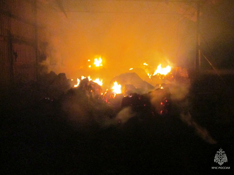 70 тонн сена сгорело в результате пожара в Смоленской области