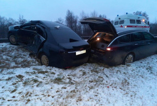 В Смоленской области на трассе М-1 погиб водитель
