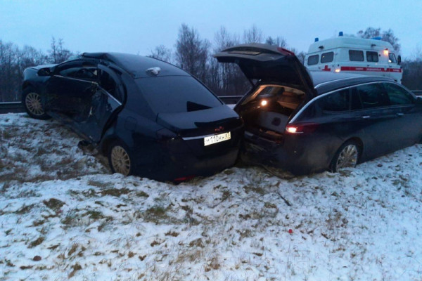 В Смоленской области на трассе М-1 погиб водитель