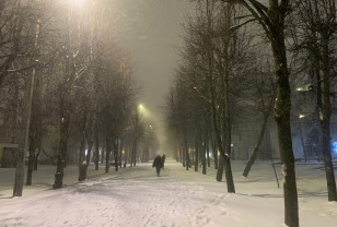 21 ноября в Смоленской области пройдет небольшой снег