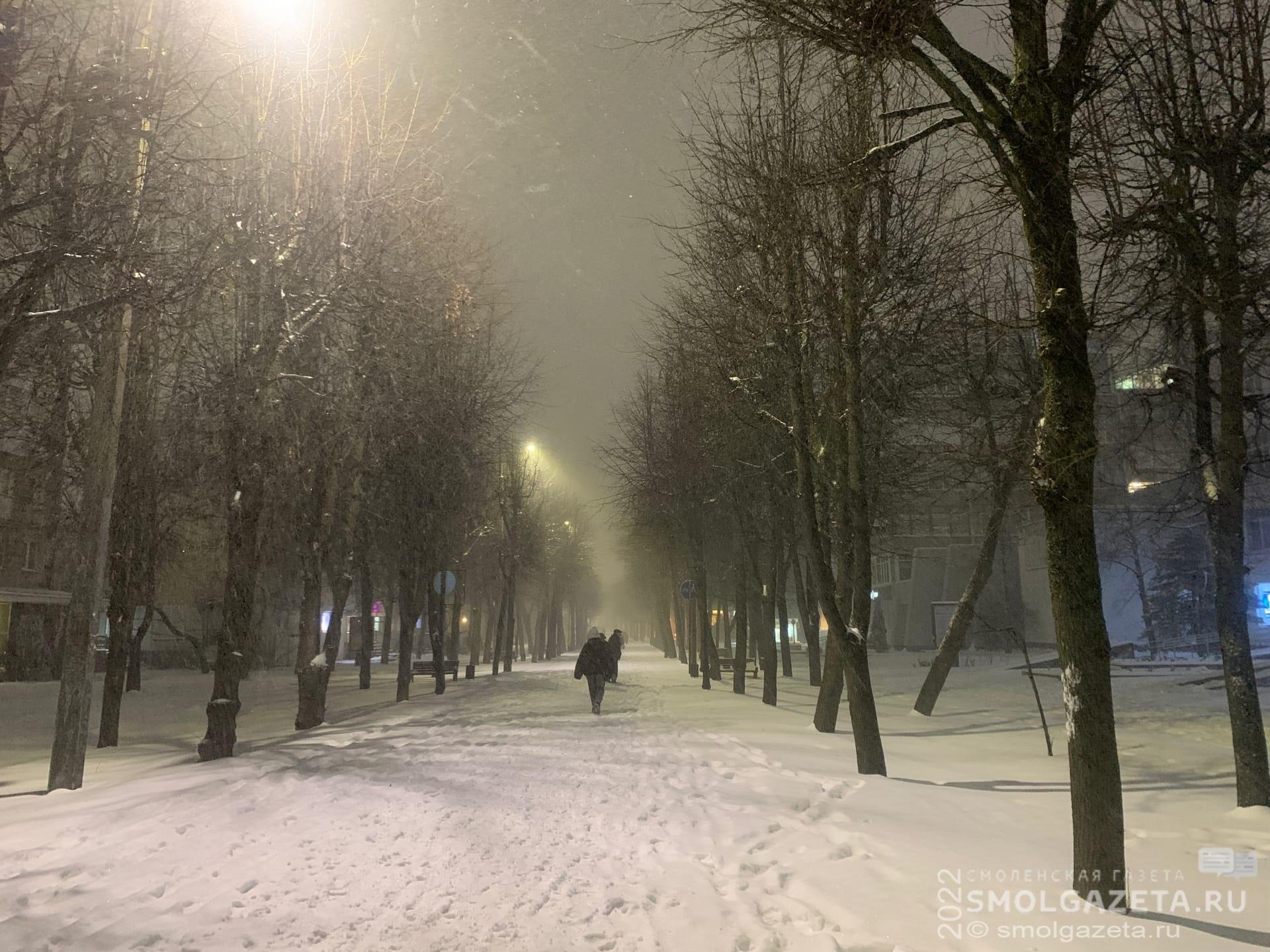 21 ноября в Смоленской области пройдет небольшой снег