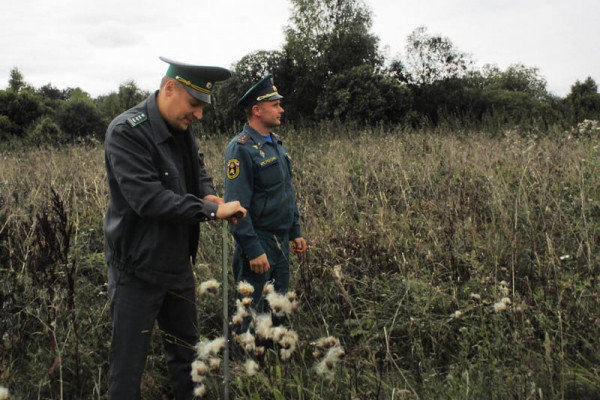 В Смоленской области выявили 525 гектаров зарастающих сельхозземель
