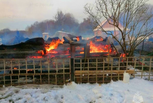 При пожаре в Смоленской области погибли четыре коровы и один бык
