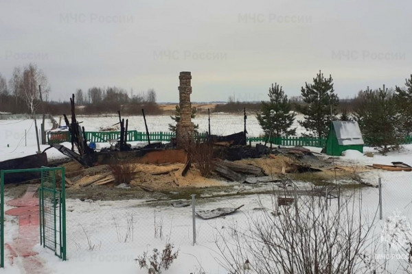 Выжившие в ночном пожаре в Смоленской области лишилась жилья