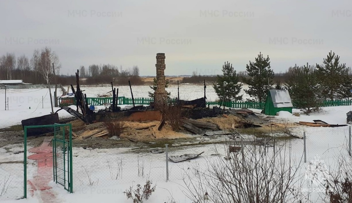 Выжившие в ночном пожаре в Смоленской области лишилась жилья