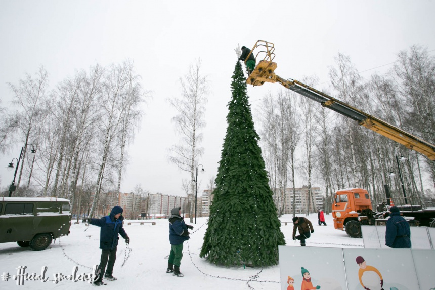 Где в Смоленске установят новогодние елки