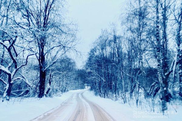 Синоптики рассказали о погоде в Смоленской области 23 декабря