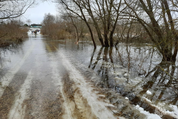 В Краснинском районе Смоленской области подтопило участок дороги