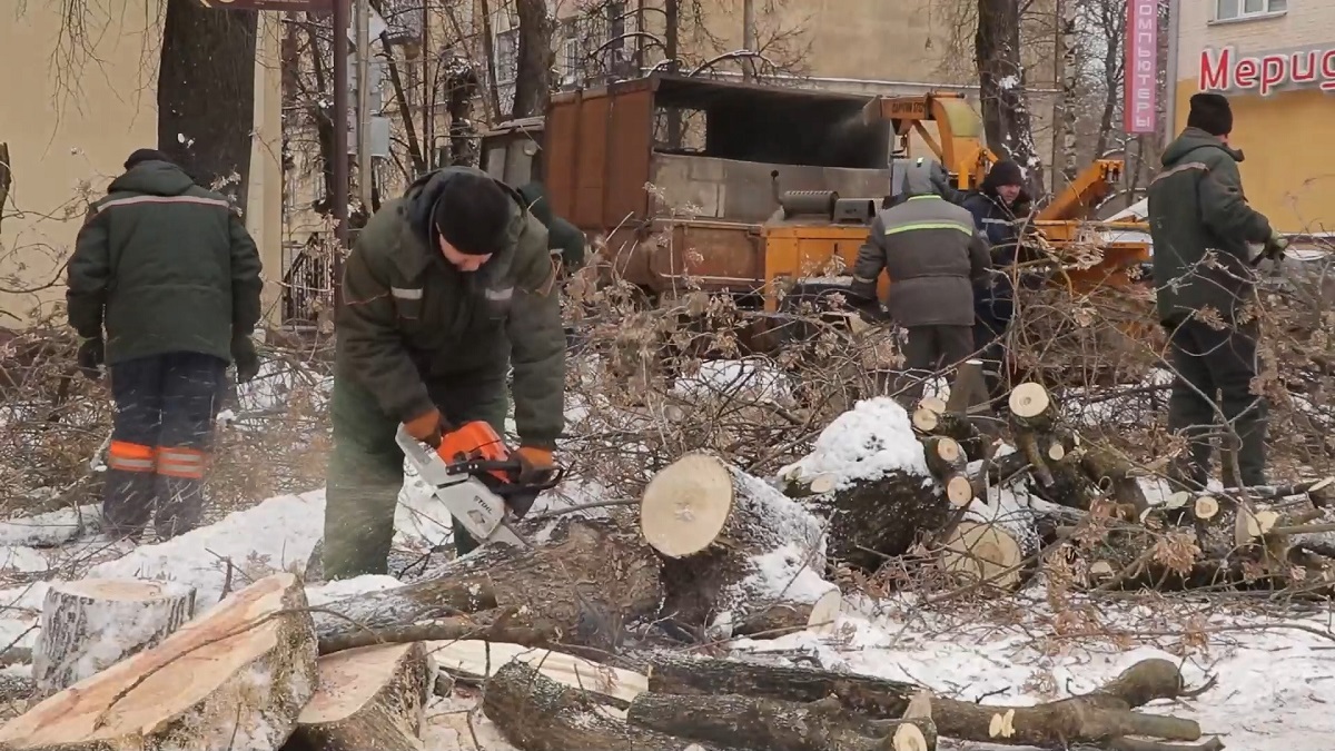 С 10 января в Смоленске началась уборка поваленных в новогодние праздники деревьев