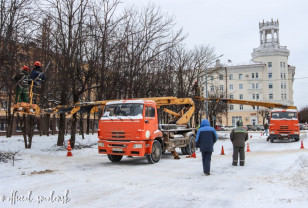 В Смоленске проходит формовочная обрезка деревьев