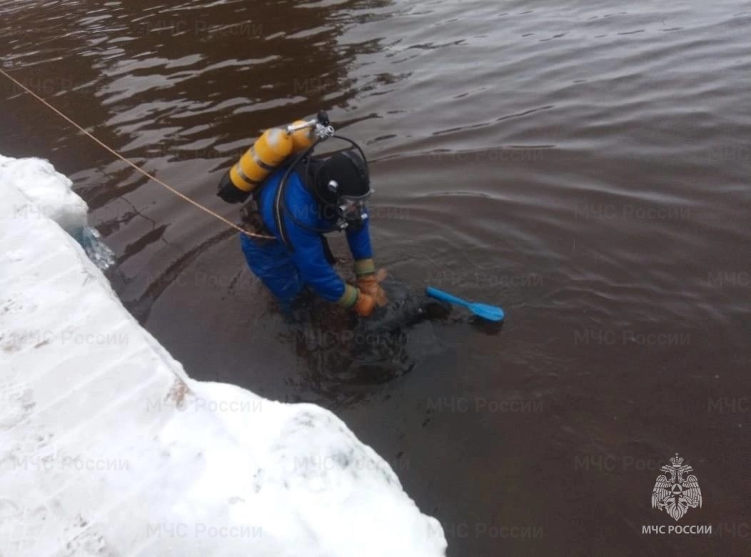 В Рославльском районе Смоленской области найдено тело утопленника