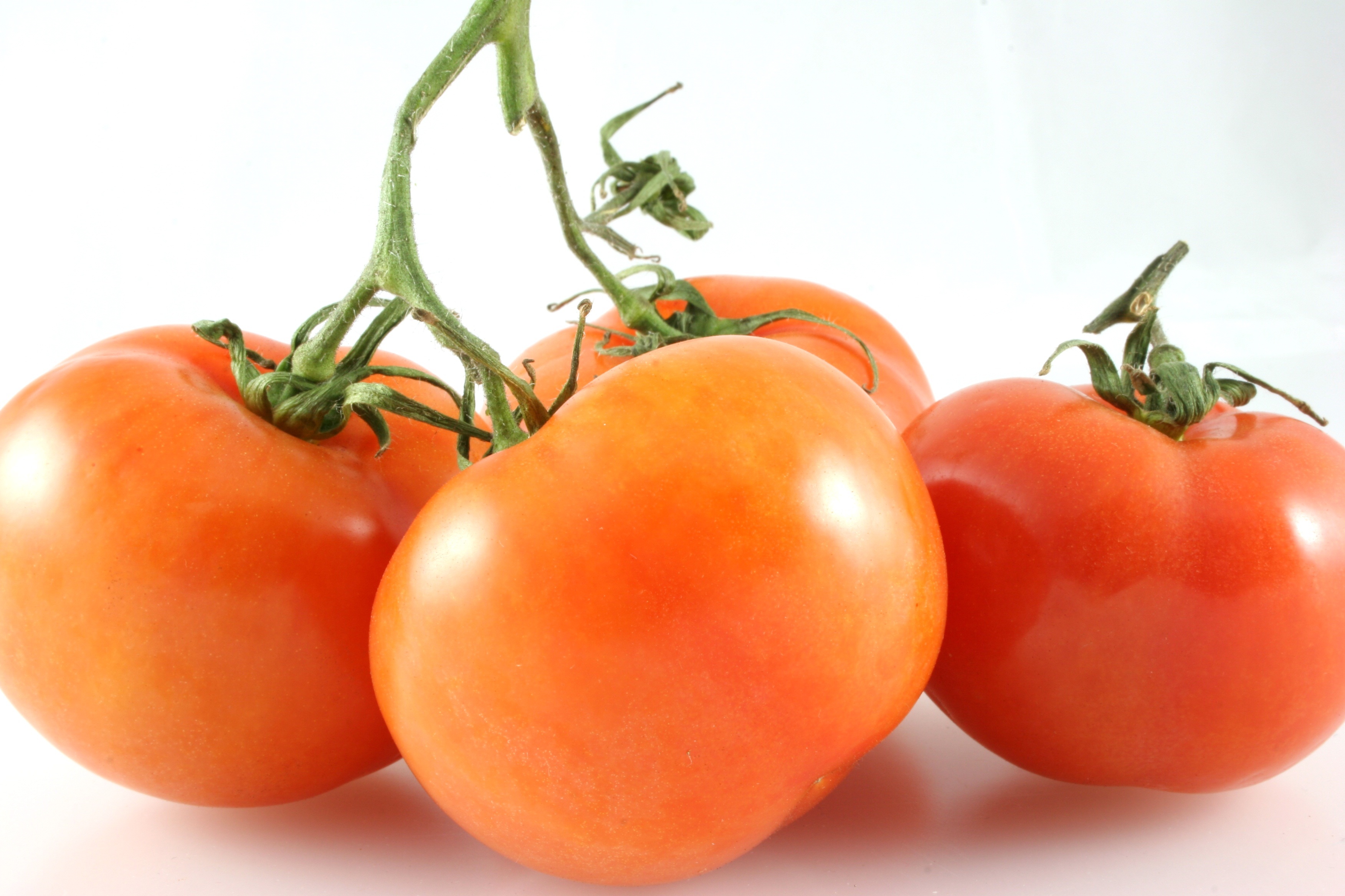 В Смоленской области в 18 тоннах томатов выявили вирус мозаики пепино 