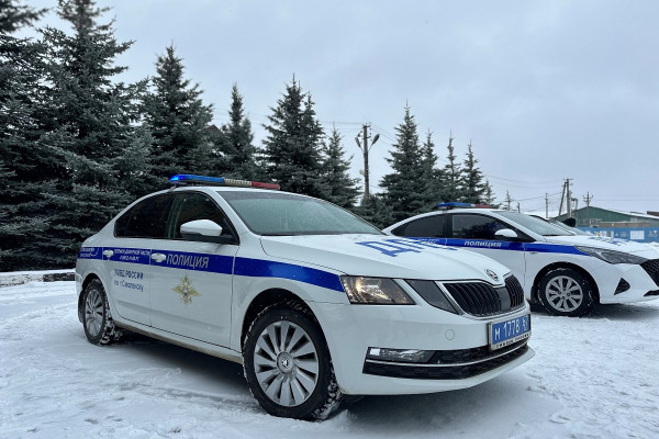 Завтра, 22 января дорожная полиция Смоленска проверит водителей