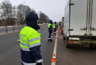 29 января в Заднепровском районе Смоленска пройдут «сплошные проверки» водителей