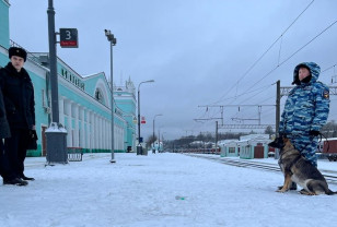В Смоленске с поезда сняли правонарушителя с наркотическим средством