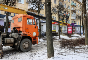 В Смоленске проходит сезонная обрезка деревьев