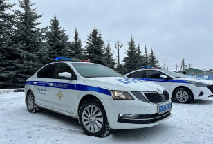 5 февраля в Смоленске пройдут «сплошные проверки» водителей