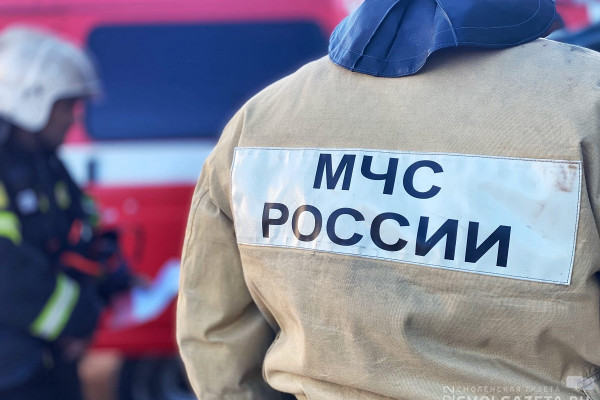 В Смоленске на улице Марины Расковой произошёл пожар в жилом доме